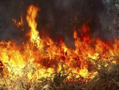 Φωτιά ξέσπασε στην Πύλο